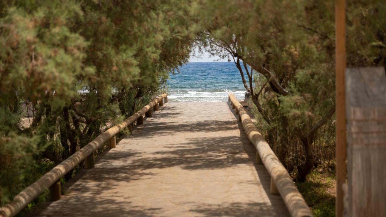 Riazor, El Medano Beach Lejlighed Eksteriør billede